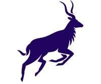 NYALA Digital Asset logo